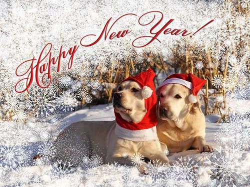 Картинки открытки с Новым годом собаки, скачать бесплатно