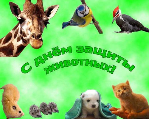 Картинки, открытки и анимация с днем животных, скачать бесплатно без р