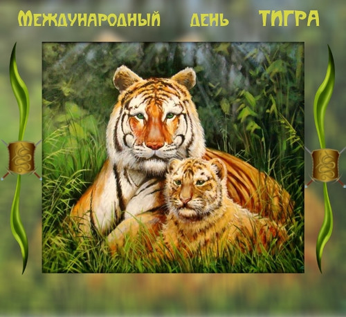 Красивые открытки и анимация с днем тигра
