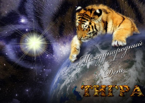 Картинки, открытки и анимация на день тигра, скачать бесплатно