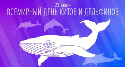 Картинки, открытки и анимация на день китов и дельфинов, скачать беспл