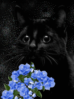 Картинки открытки с днем черной кошки, скачать бесплатно