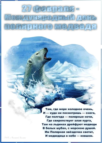 Картинки открытки С днем полярного медведя красивые бесплатно