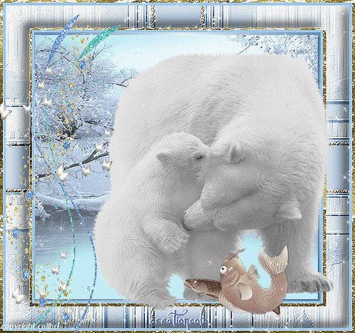 Картинки открытки С днем полярного медведя красивые бесплатно