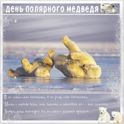 Открытки картинки с надписями С днем полярного медведя  скачать