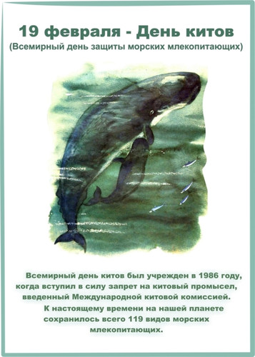 Открытки картинки с надписями С днем защиты морских млекопитающих