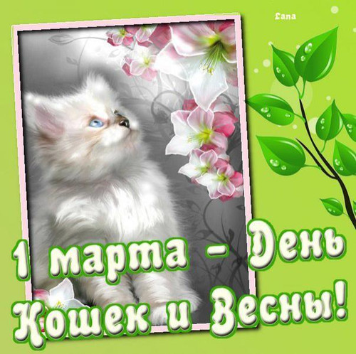 Картинки открытки С днем кошек и первым днем весны красивые бесплатно