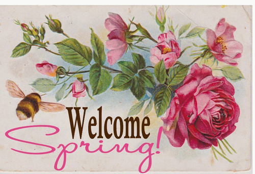 Открытки картинки с надписями Welcome spring скачать