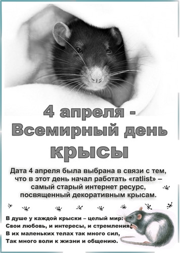 Открытки картинки с надписями С днем крысы скачать