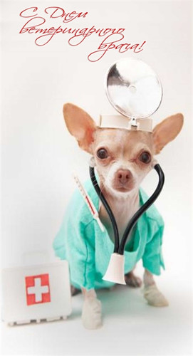 Картинка С днем ветеринарного врача бесплатно